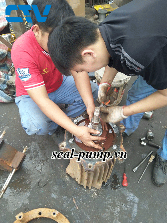 Các bước thay phớt máy bơm nước