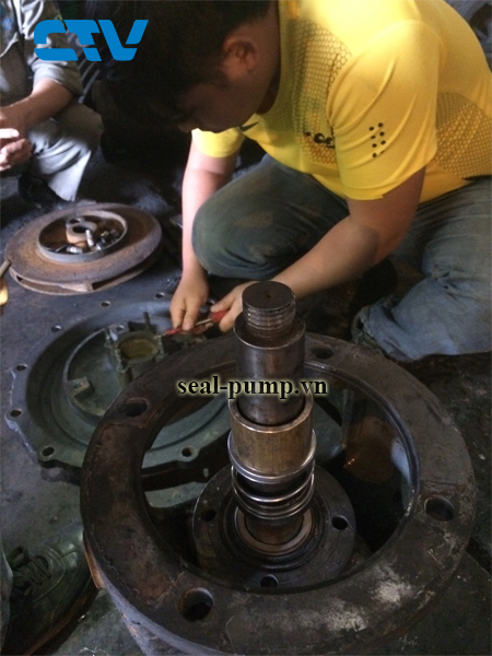 Các tác nhân ảnh hưởng trực tiếp đến tuổi thọ vòng bi của máy bơm nước