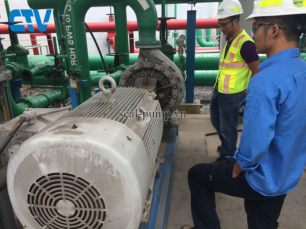 Cung cấp, thay thế phớt máy bơm đầu rời ebara uy tín, chuyên nghiệp