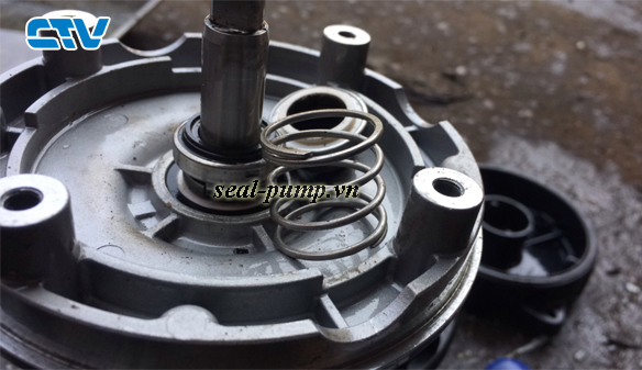 Hướng dẫn tháo lắp và thay phớt máy bơm nước tại nhà