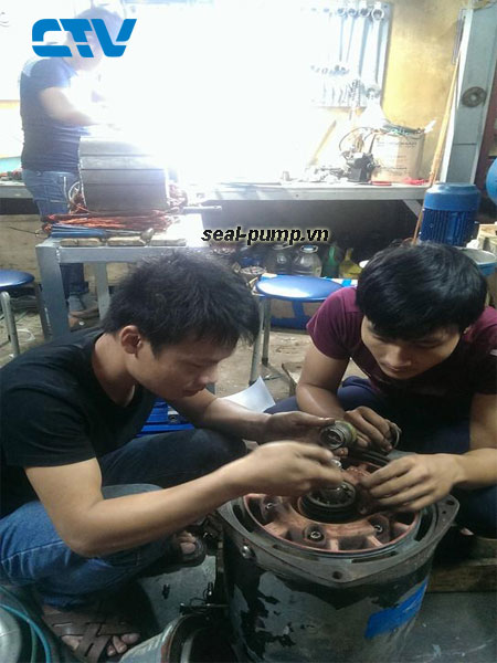 Một số lỗi khi vận hành có thể làm hư phớt cơ khí