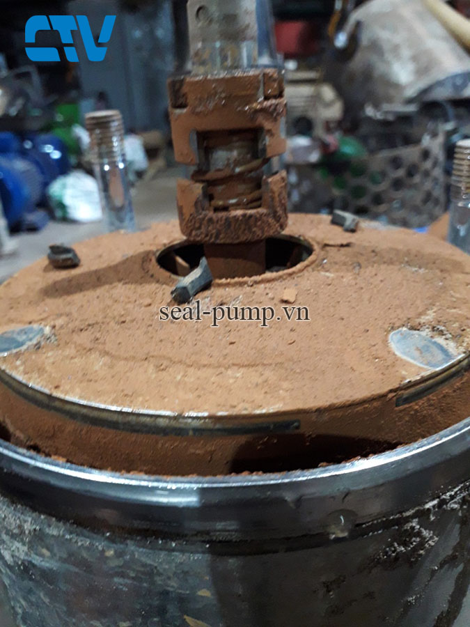 Nguyên nhân, cách khắc phục lỗi hỏng phớt máy bơm trục đứng CNP