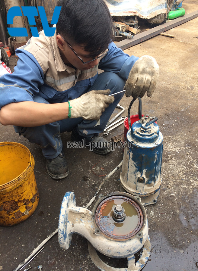 Sửa máy bơm chìm Pentax DMT bị hỏng phớt