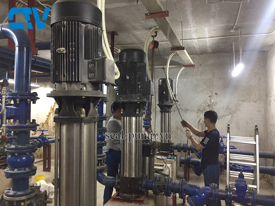 Sửa máy bơm trục đứng khi bị hỏng phớt