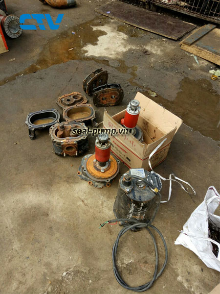 Thay bi thay phớt máy bơm nước ở đâu tin cậy, giá rẻ tại Hà Nội