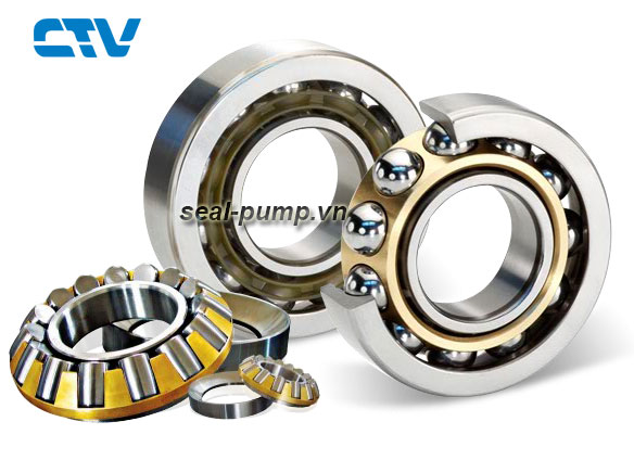 Chi tiết các loại Vòng bi, bạc đạn dùng cho máy bơm nước