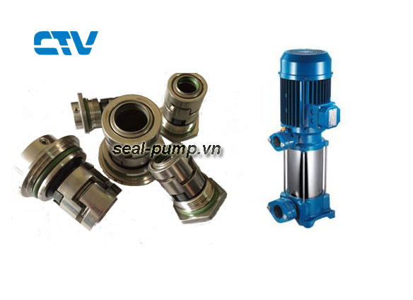 Phớt máy bơm trục đứng Foras