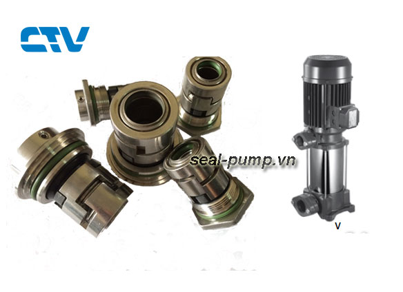 Phớt máy bơm trục đứng Matra