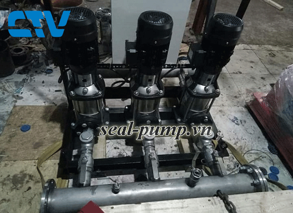 Cường Thịnh Vương lắp đặt hệ thống máy bơm cấp nước sinh hoạt