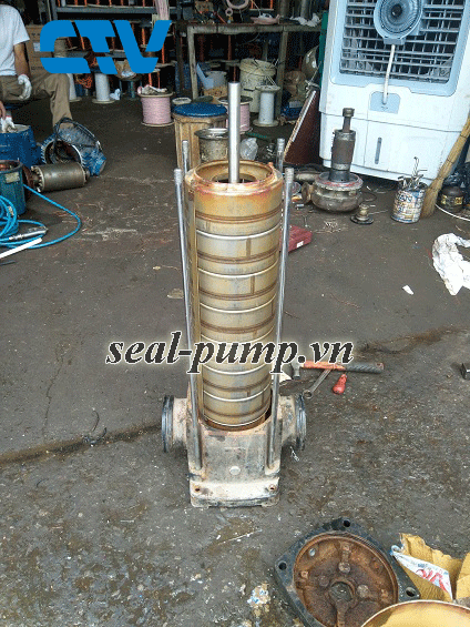 Sửa máy bơm trục đứng tại xưởng Cường Thịnh Vương