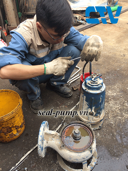 Đơn vị sửa chữa máy bơm nước tại Hà Nội