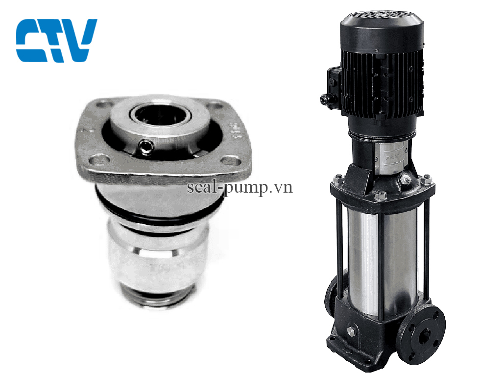 Phớt bơm trục đứng type NN H7N bơm Ebara EVMSG1