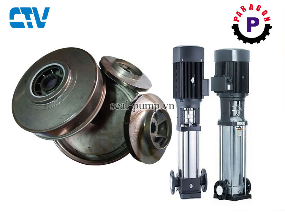 Ruột buồng bơm trục đứng Paragon PV 15kw (Buồng cánh bơm)